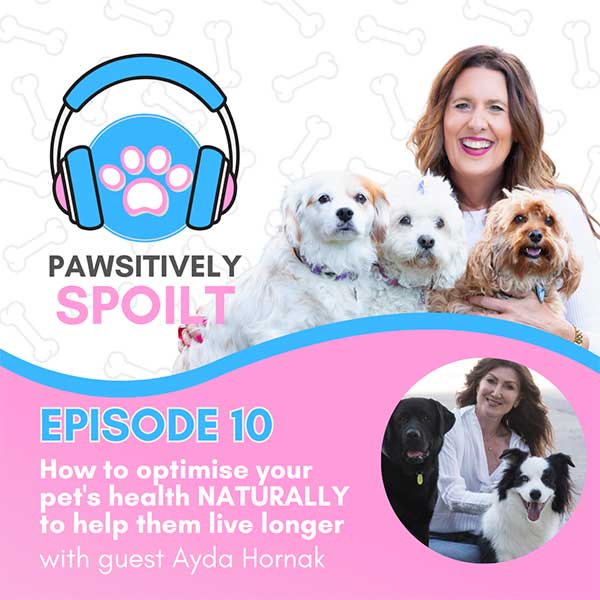 Payswitively spoilt podcast tile - episode 10, How-to-optimise-your-pet_s-health-NATURALLY-to-help-them-live-longer